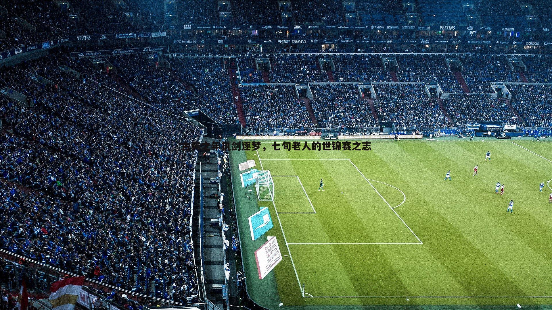 古稀之年执剑逐梦,七旬老人的世锦赛之志